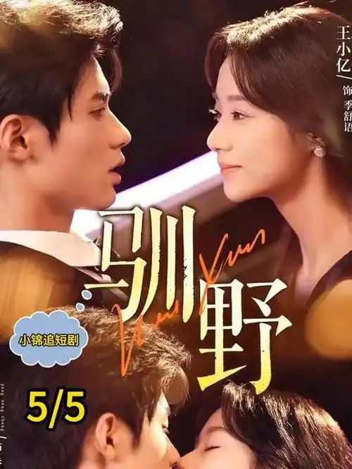 青春治愈热播电视剧全集十七楼的夏天